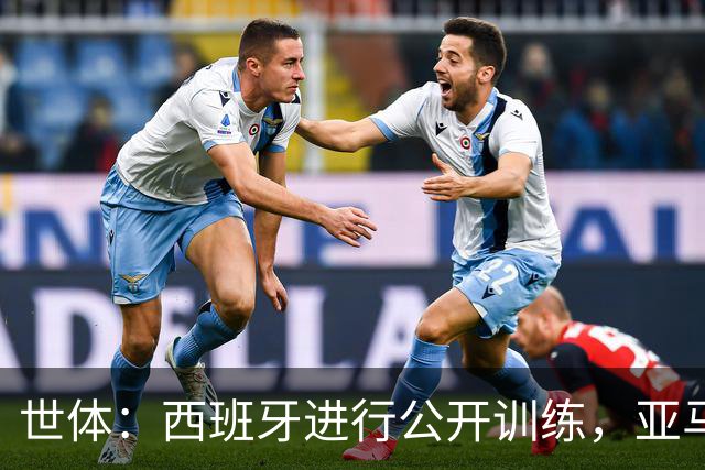 世体：西班牙进行公开训练，亚马尔和尼科·威廉姆斯参加部分合练