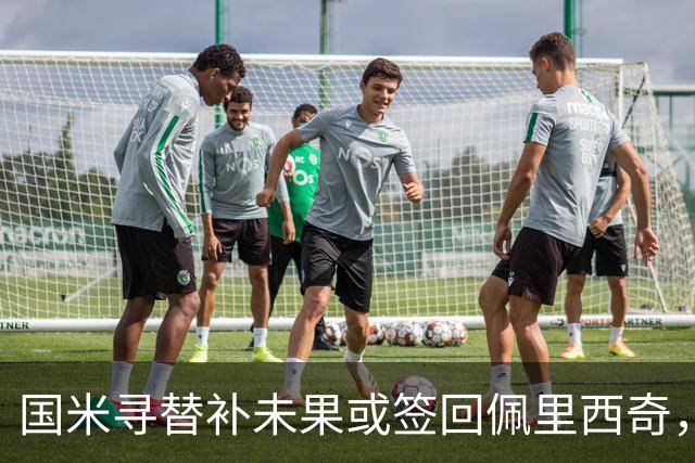 国米寻替补未果或签回佩里西奇，37岁老将成最现实选择